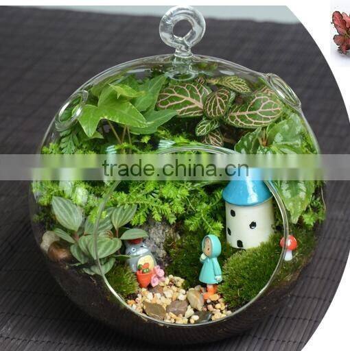 hand blown different types clear glass vase terrarium for home