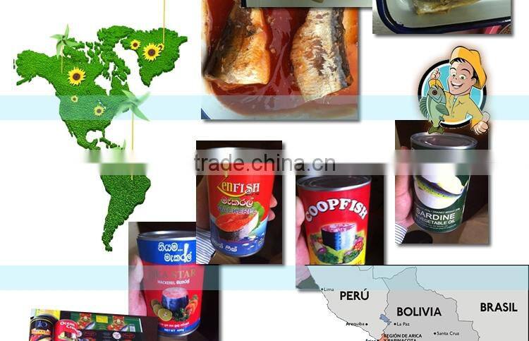 CANNED TUNA IN BRINE CHILE BOLIVIA LATIN AMERICA ISO member high quality premium 425g/210g/155g Sardine in oil in tomato suace