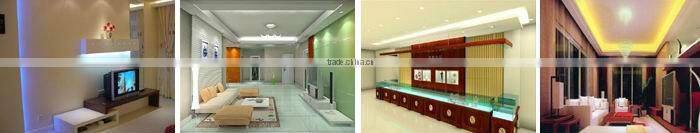 Blue LED Strip light with SMD 5050/3528/3014/2835/5630