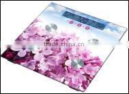 body fat & hydration scale