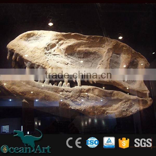 OAV3112 1:1 Scale Artificial Resin Dinosaur Skull