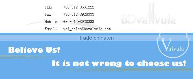 DIN Welding Neck carbon Steel forged Flange supplier