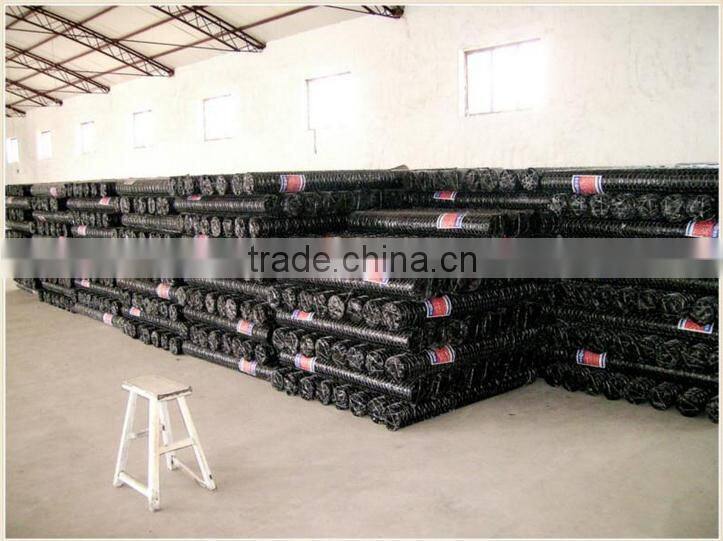 Electro hexagonal wire netting