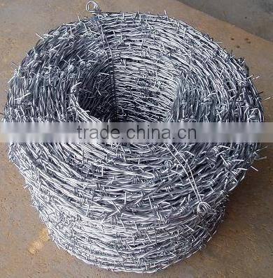 Double Stranded and Single Stranded Galvanized Barbed Wire