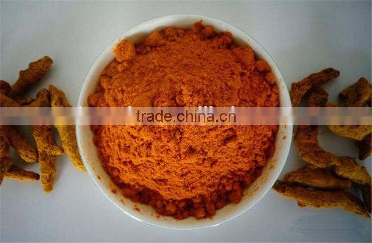 Free Samples 100% natural tumeric Curcumin extract 95%