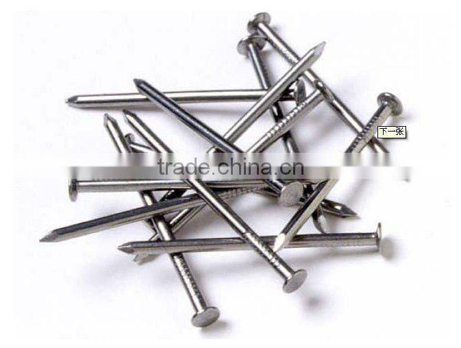Iron polished common nails with smooth shank