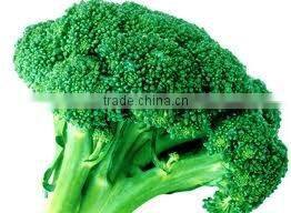 Broccoli extract 0.3% Sulforaphane