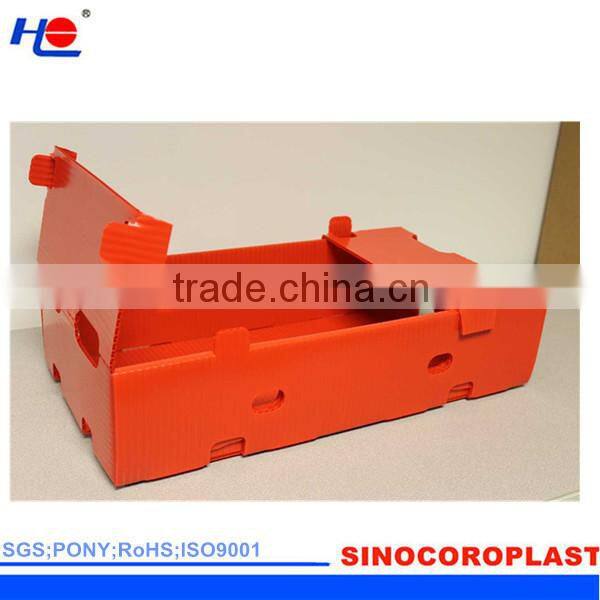 Foldable Plastic Fruit Box