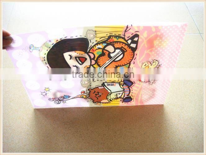 2015 new PP plastic foldable file folder