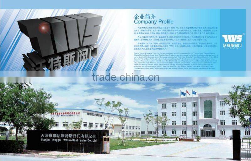 DN50~DN600 Series MH water swing check valve