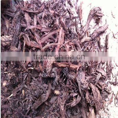 Full Dried Herbal Sinkiang Arnebia Root