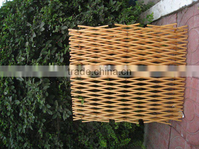 willow trellis/willow fence