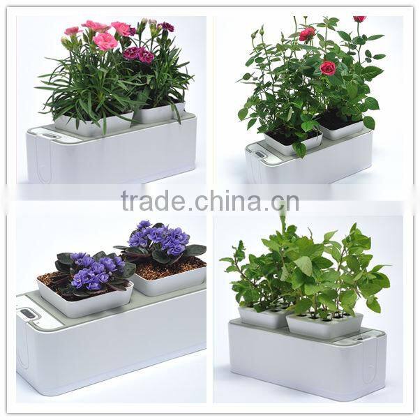 Home Garden country agents wanted in Solomon Is