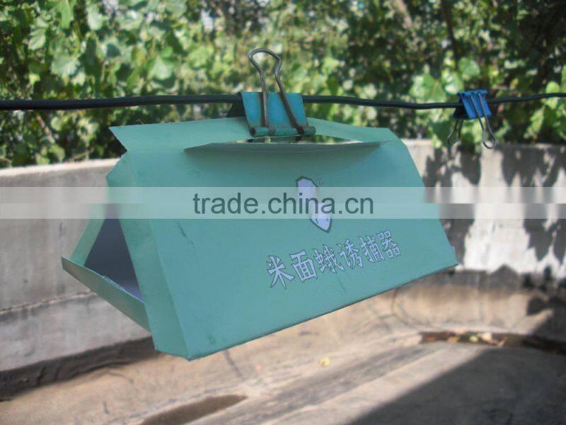 Pheromone lures of Ephestia/plodia spp. with trap set