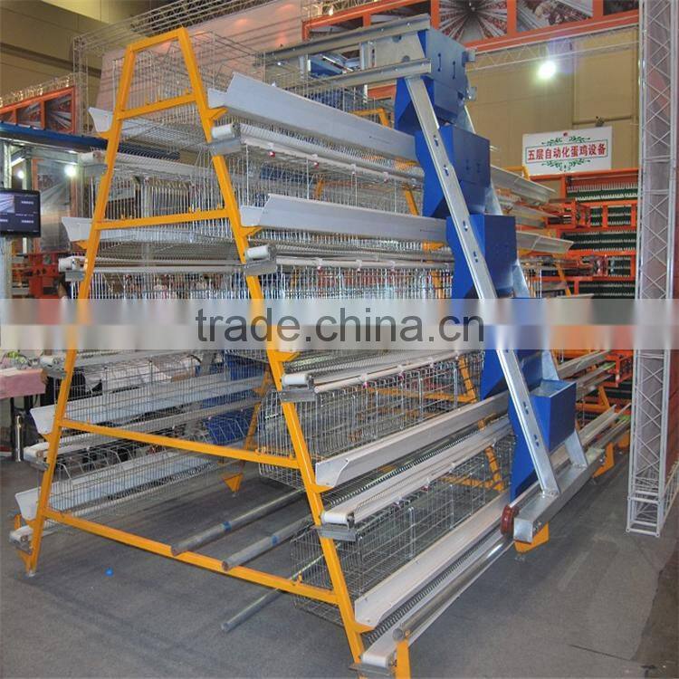 Alibaba express used poultry equipment for sale