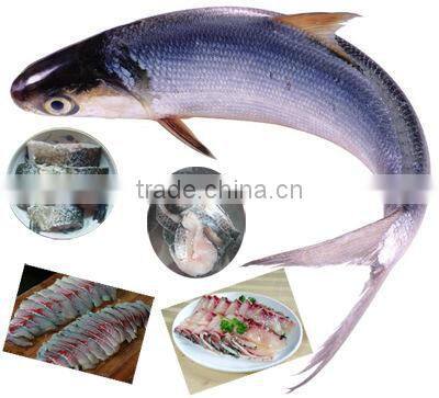 Industrial fish slicer/fish slicing machine