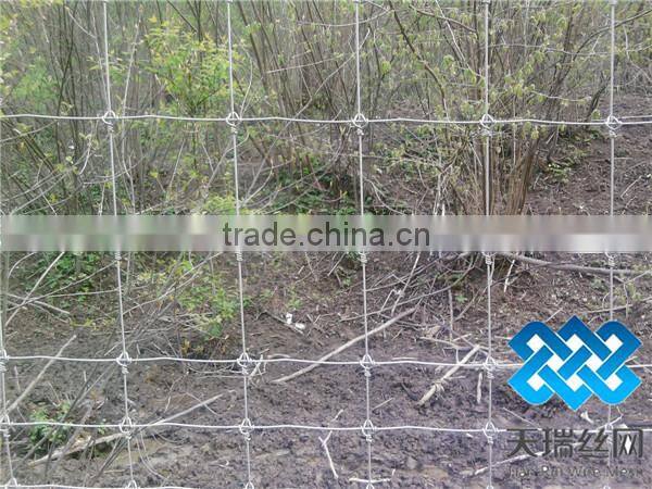 grassland sheep mesh wire fencing/cow fence/field fence factory direct supply