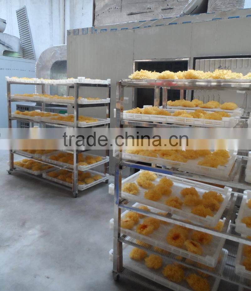 Tremella fuciformis heat pump dehydrator
