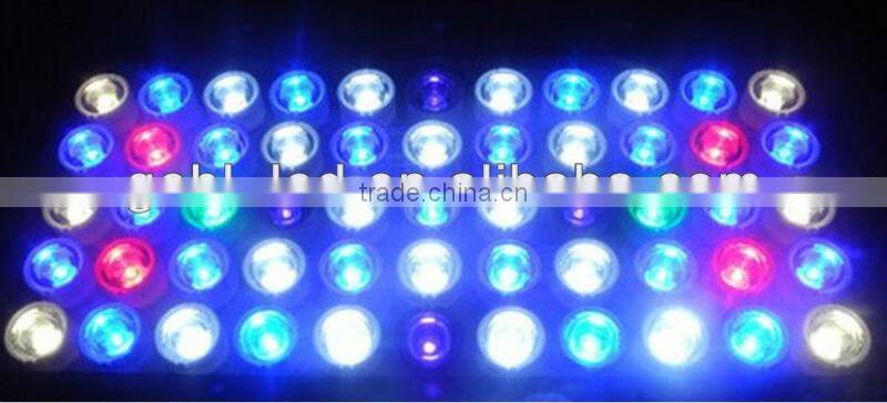 SPS LPS led reef light aquarium light