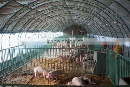 200mic, single span PE greenhouse film for Poultry cultivation