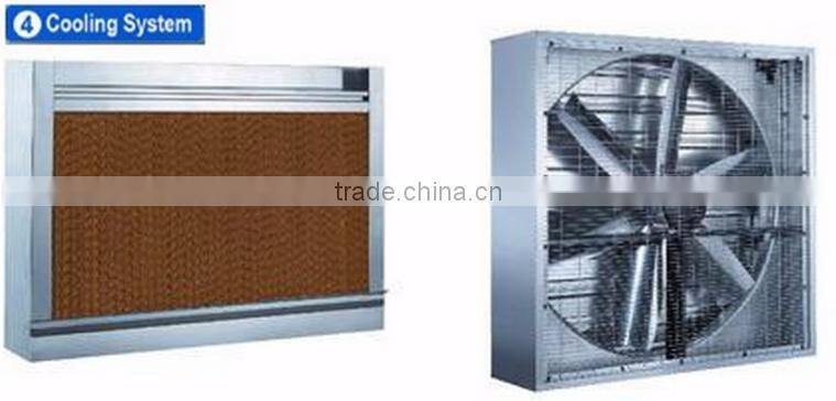 Commercial hydroponic systems for vegetable greenhouse