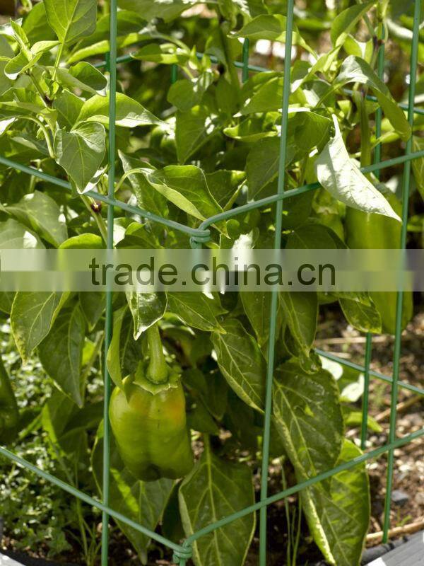 tomato spiral wire rod support