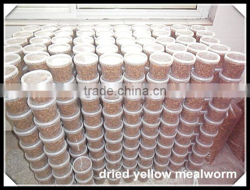 Dried Mealworms For Insect protein Material