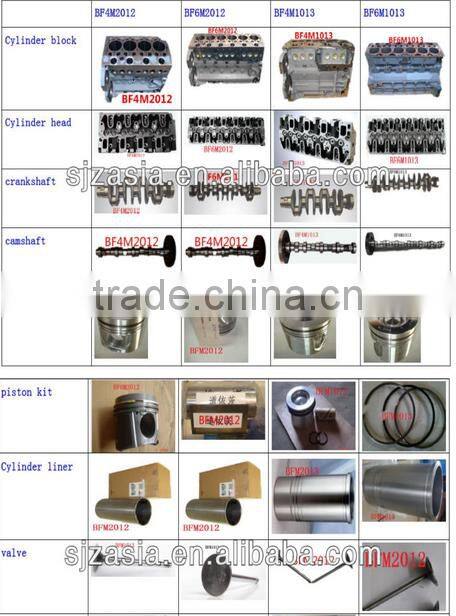 BFM1013 crankshaft bearing 02929430, 02929431, 02929432, 79268600