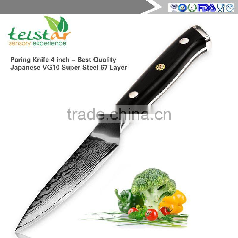 Paring Knife 4 inch - Best Quality Japanese VG10 Super Steel 67 Layer High