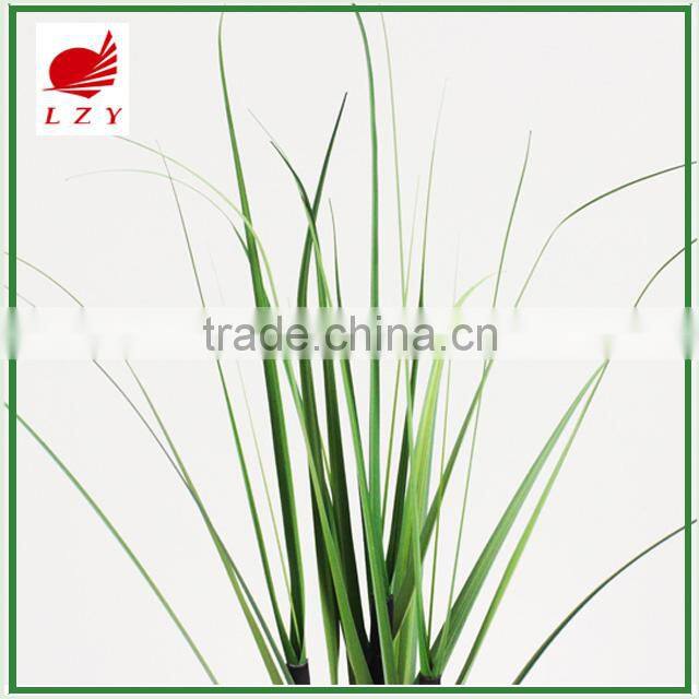 Factory Direct Sale Large Garden Decoration Onion Grass