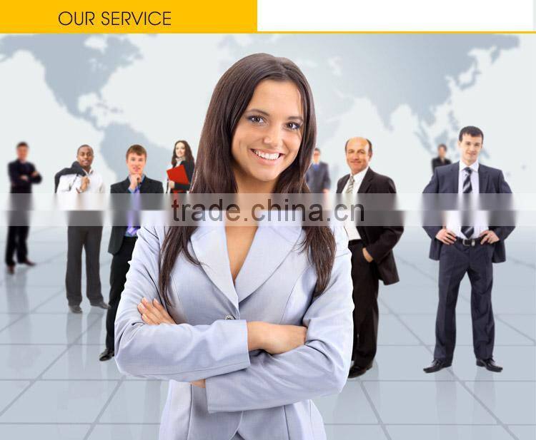 Webbing Style Polyester Woven Lash