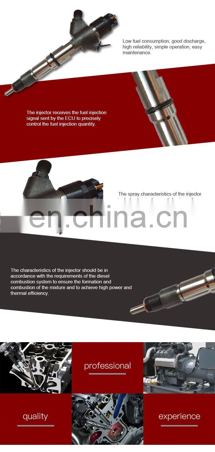 Professional Common rail diesel injection 0445120011