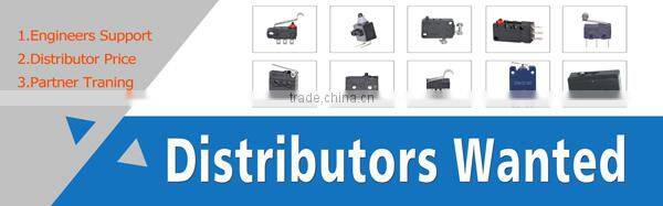 12VDC waterproof automotive switch,auto on off switch,auto on off light switch
