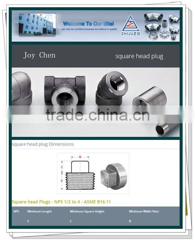 2 " Square Head Plug 304 Stainless Steel Pipe Fittings