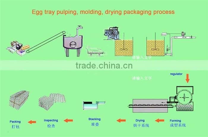 Full automatic paper pulp moulding machine/Egg tray production equipment