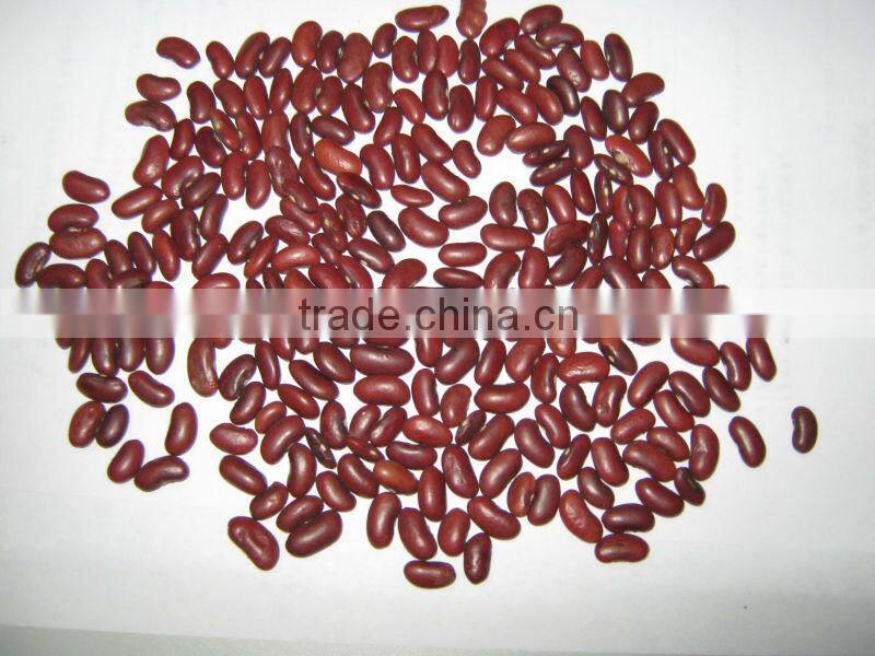 dried red kidney beans