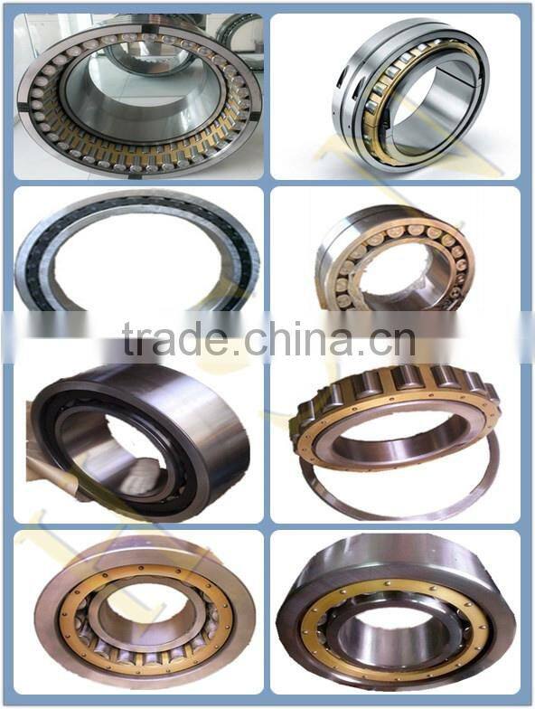 HaiSheng STOCK 2032938 Big Cylindrical Roller Bearing NU2938 M Bearing