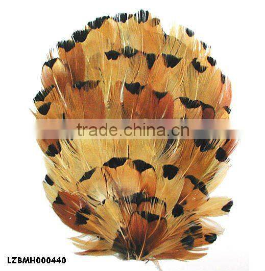 ringneck church window pad LZXZ00584