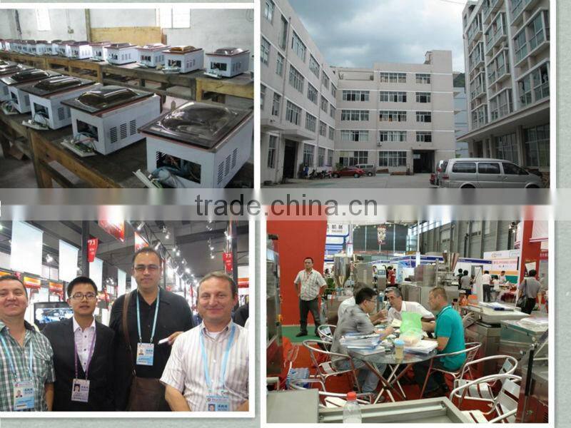 DZ-500/4SC- 600/4SC Double chamber Vacuum packing machine