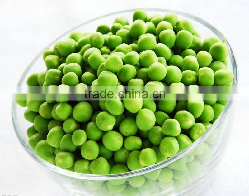 Halal Approval Canned Green Peas