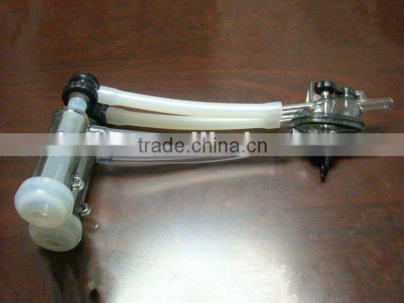 Goat's Milk Cup Group