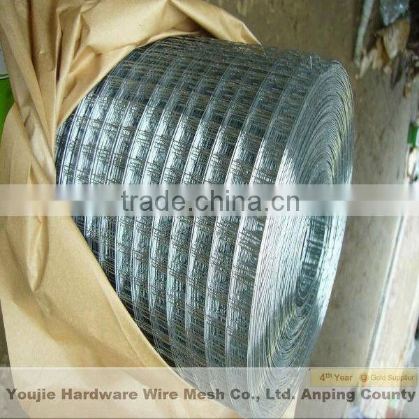 1/2"x1/2" welded wire mesh (hot sale)