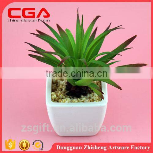Artificial Artificial succulent plants tropical plants Plastic emulation succulent plant