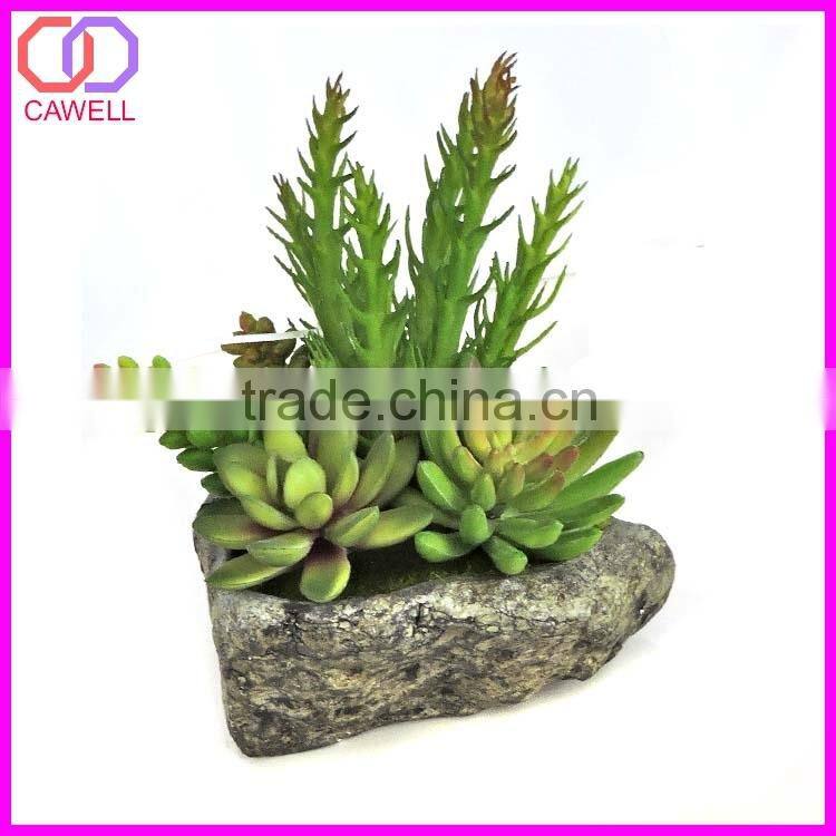 artificial cactus plant cactus succulent