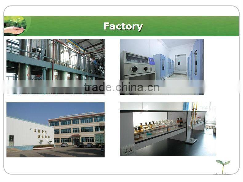 Epimedium powder icariin 50% 60% 80% 98% epimedium extract