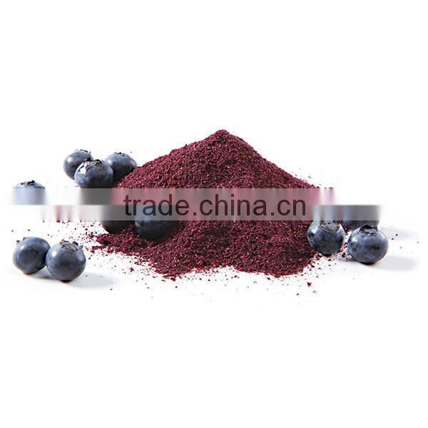 concentrate fruit juice powder