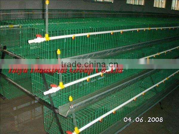 TAIYU-7 3 tier-A type egg laying chicken cage system