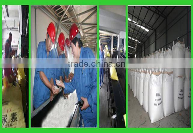 NPK 12-03-43 water soluble fertilizer