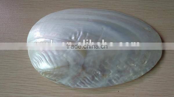 Wholesale chinese polished raw river shell