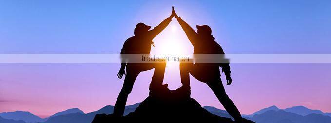 Dried Mealworm for Backyard Chicken with good price